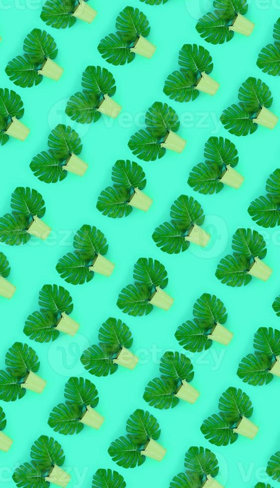 Tropical palm monstera leaves lies in a pastel pails on a colored background. Flat lay trendy minimal pattern. Top view photo
