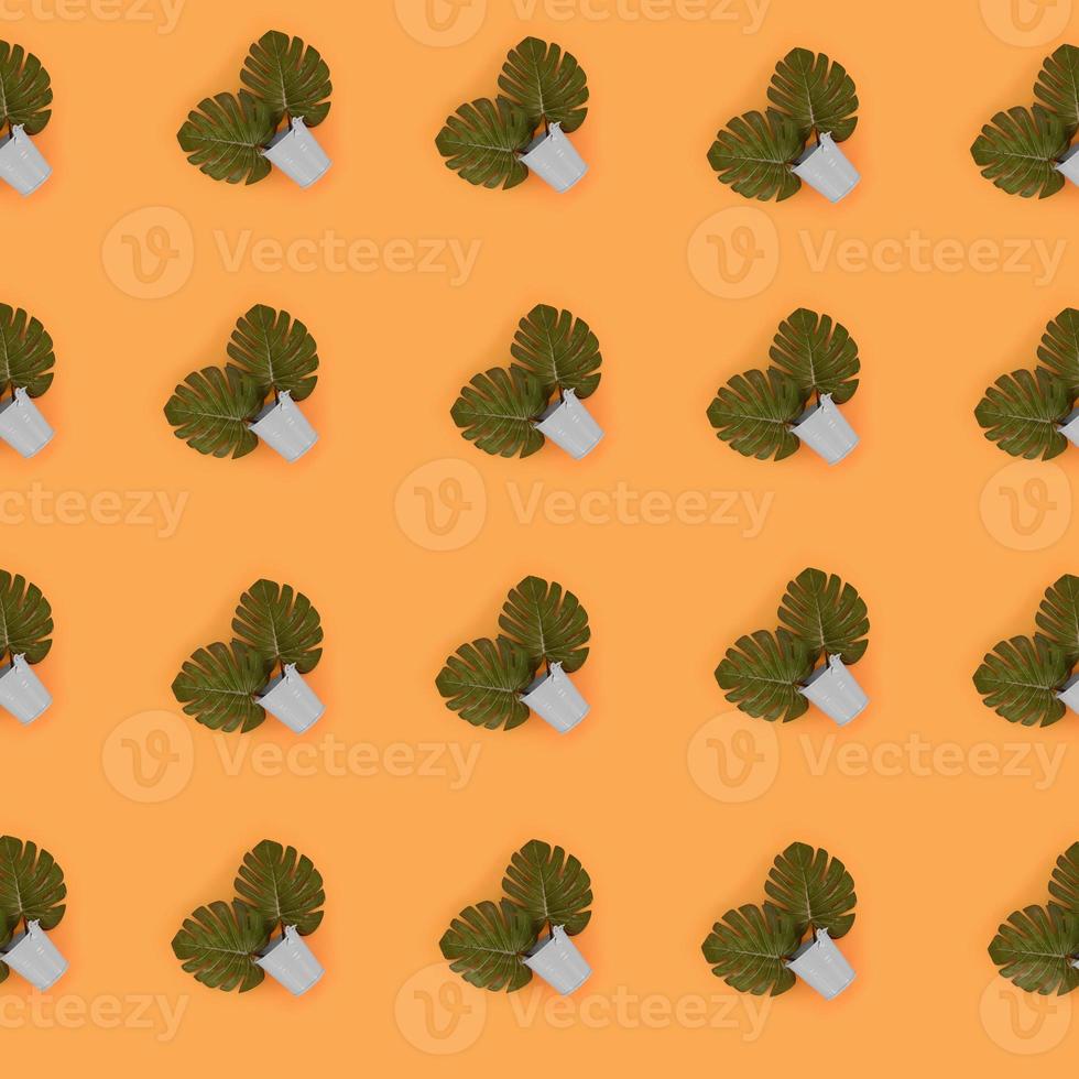 Tropical palm monstera leaves lies in a pastel pails on a colored background. Flat lay trendy minimal pattern. Top view photo