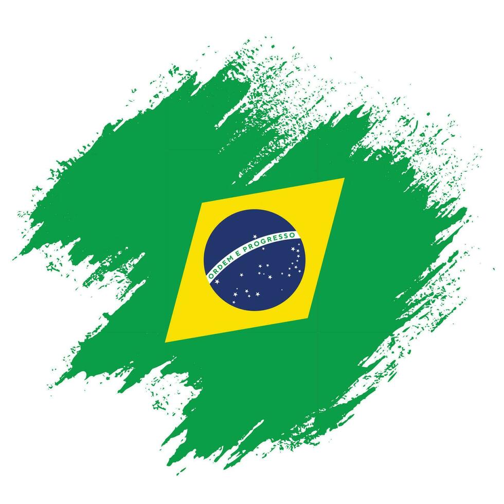 Professional Brazil texture flag vector