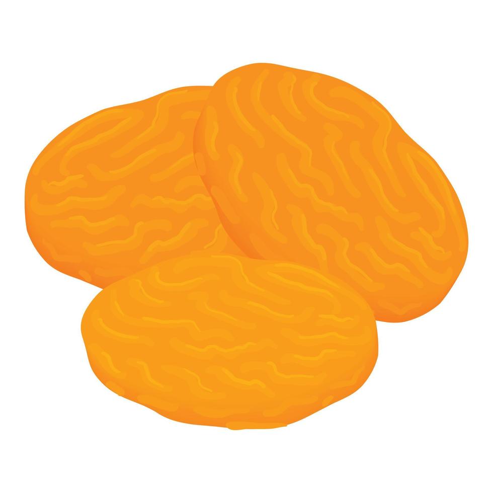 Apricot seed icon, isometric style vector