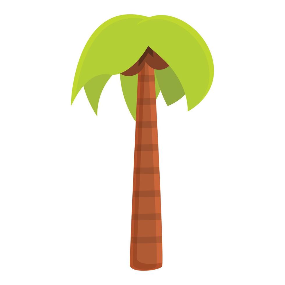 Tropical palm icon, cartoon style vector