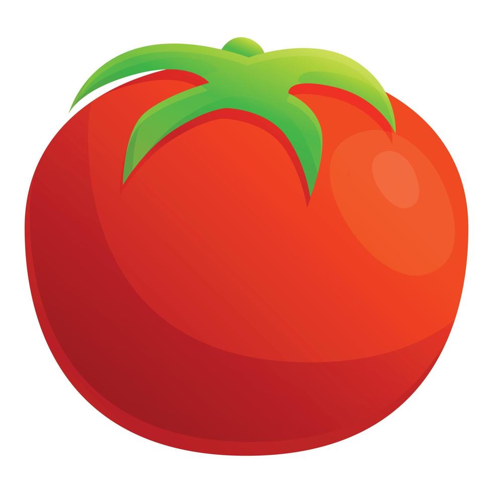 Farm eco tomato icon, cartoon style vector