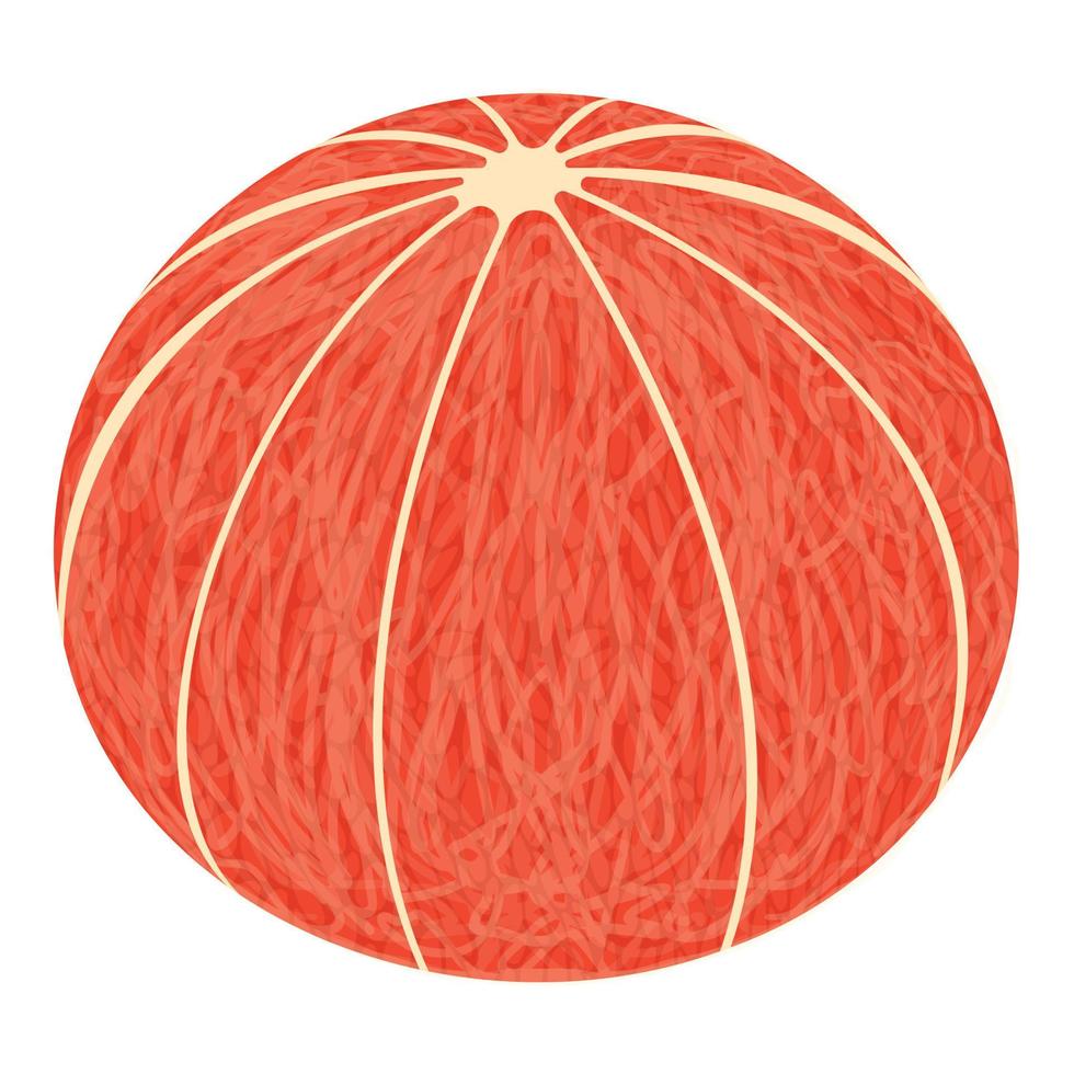 Clean grapefruit icon, isometric style vector