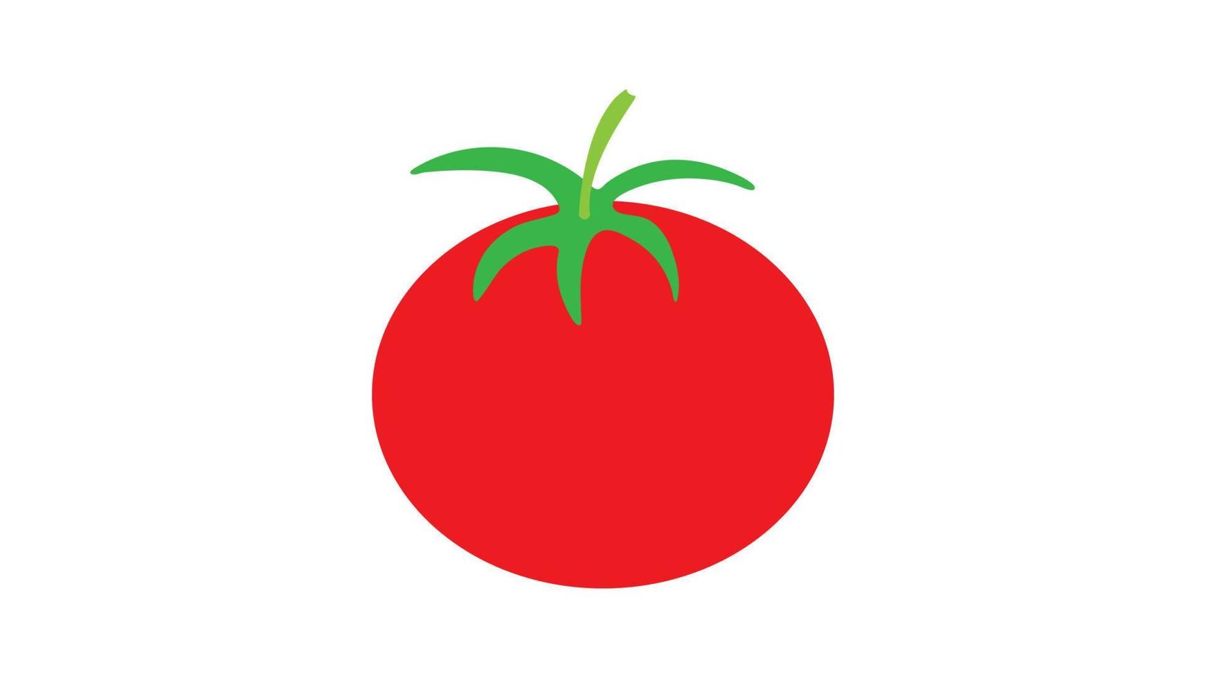 Fresh red ripe tomato with green leaf. Vegetarian vegetable vector