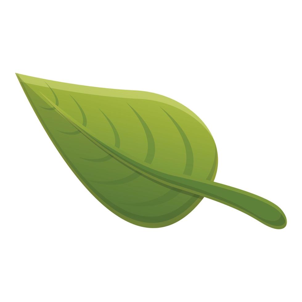 icono de hoja verde canela, estilo de dibujos animados vector