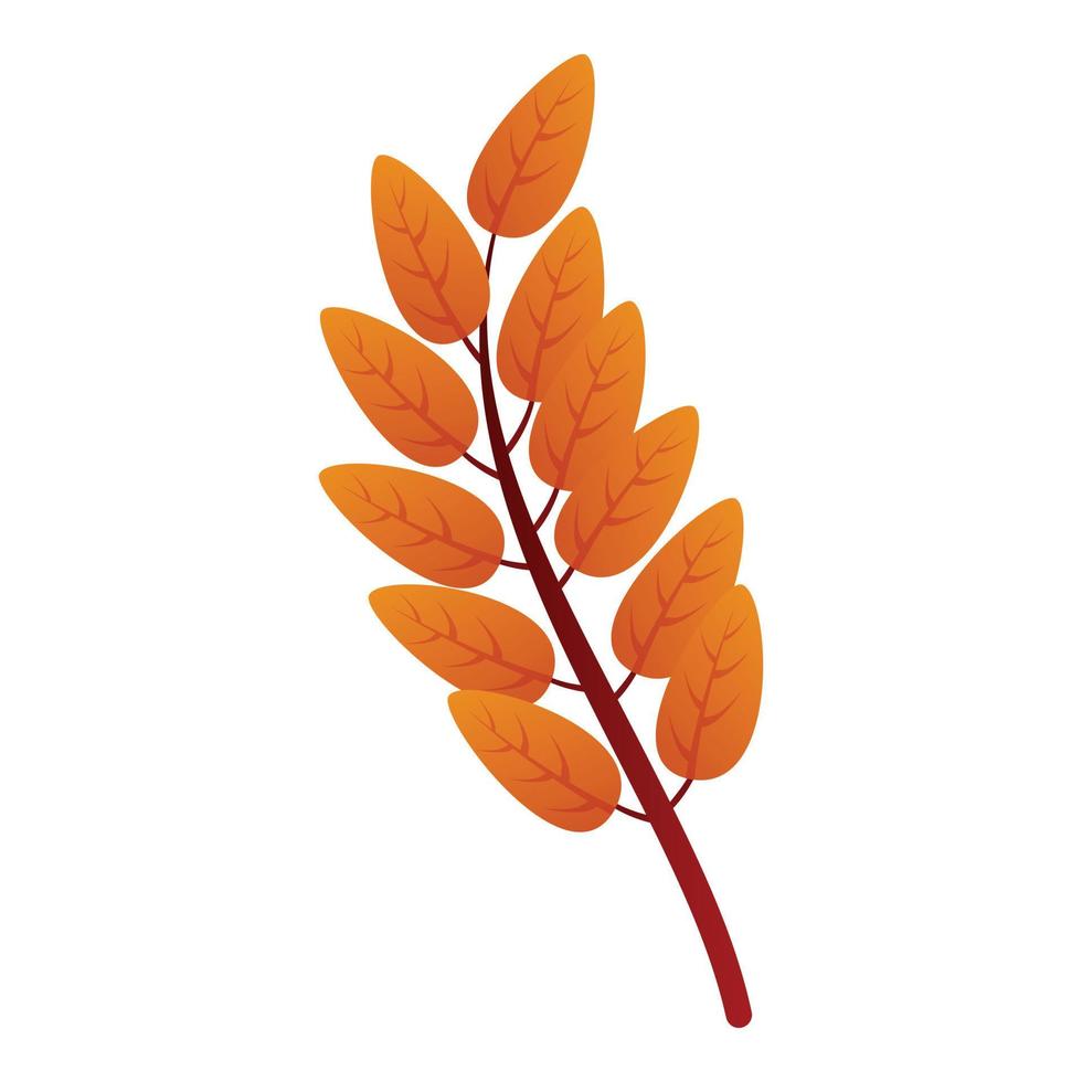 Ash tree autumn leaf icon, cartoon style vector
