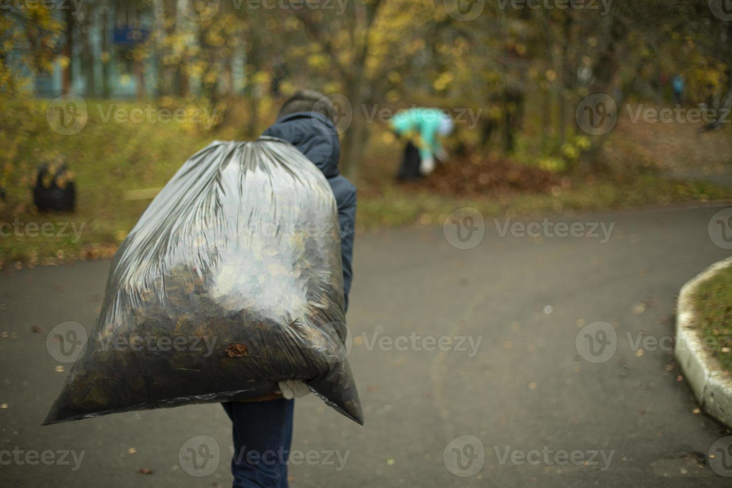 Man carries bag of garbage. Guy takes away bag of leaves. Yard cleaning in autumn. photo