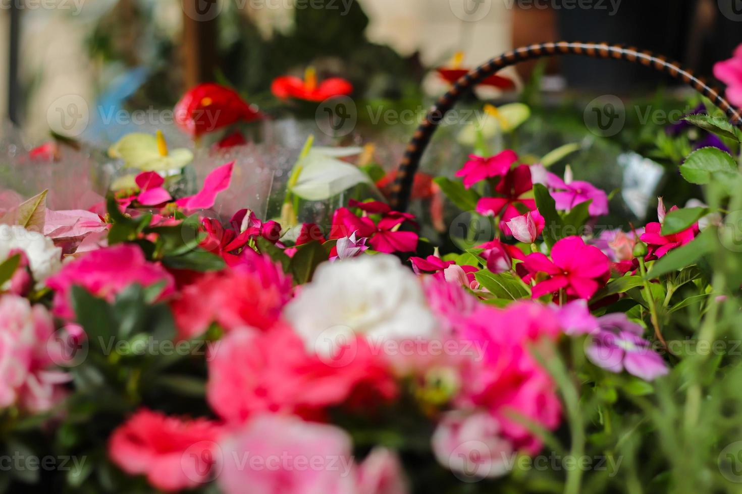 Rio de Janeiro, RJ, Brazil, 2022 - Street fair in Grajau neighborhood - apples, oranges, tangerines, bananas, lettuce, watercress, tomatoes,  bell peppers, flowers photo