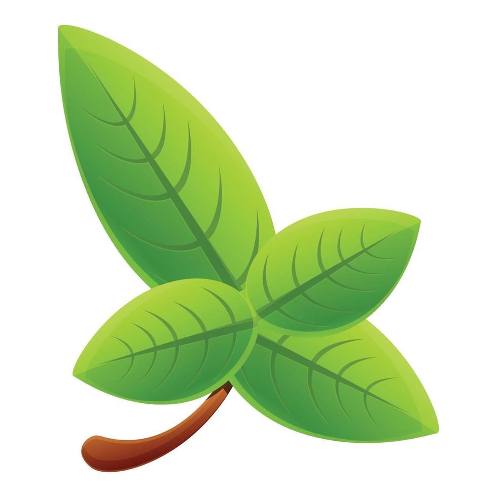 Basil aromatic icon, cartoon style vector