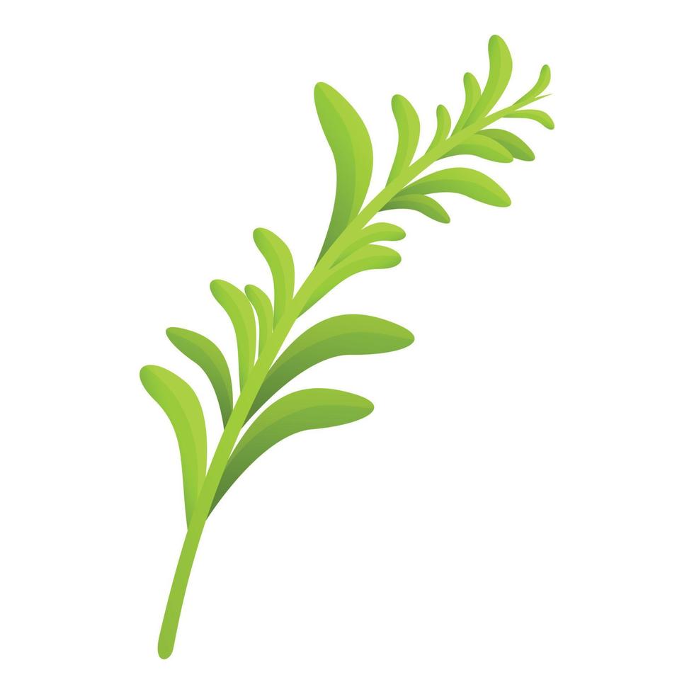 Rosemary aroma icon, cartoon style vector