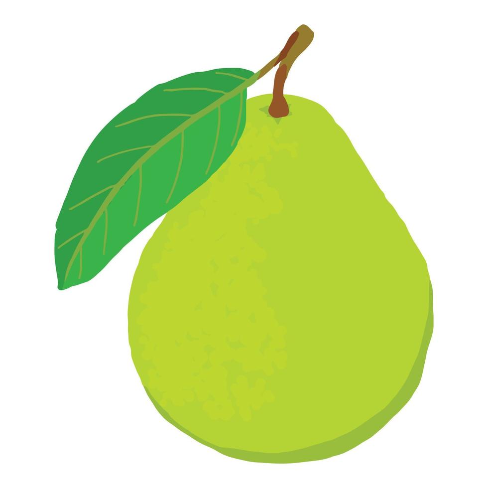 Whole fresh guava icon, isometric style vector