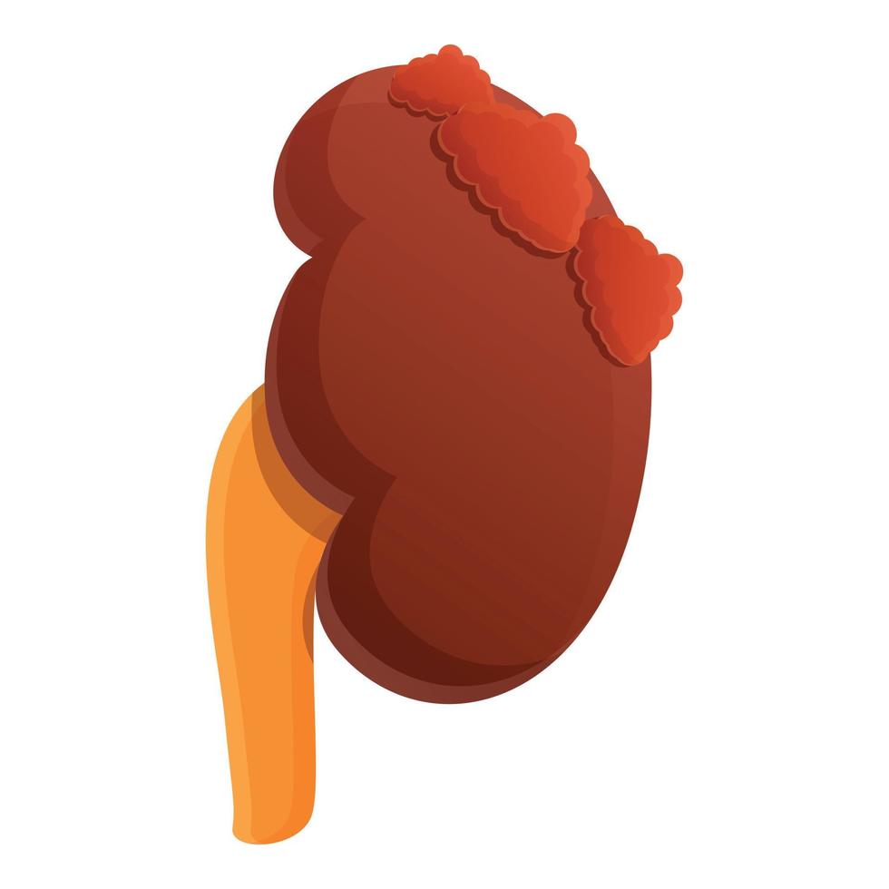 icono de riñón de anatomía, estilo de dibujos animados vector