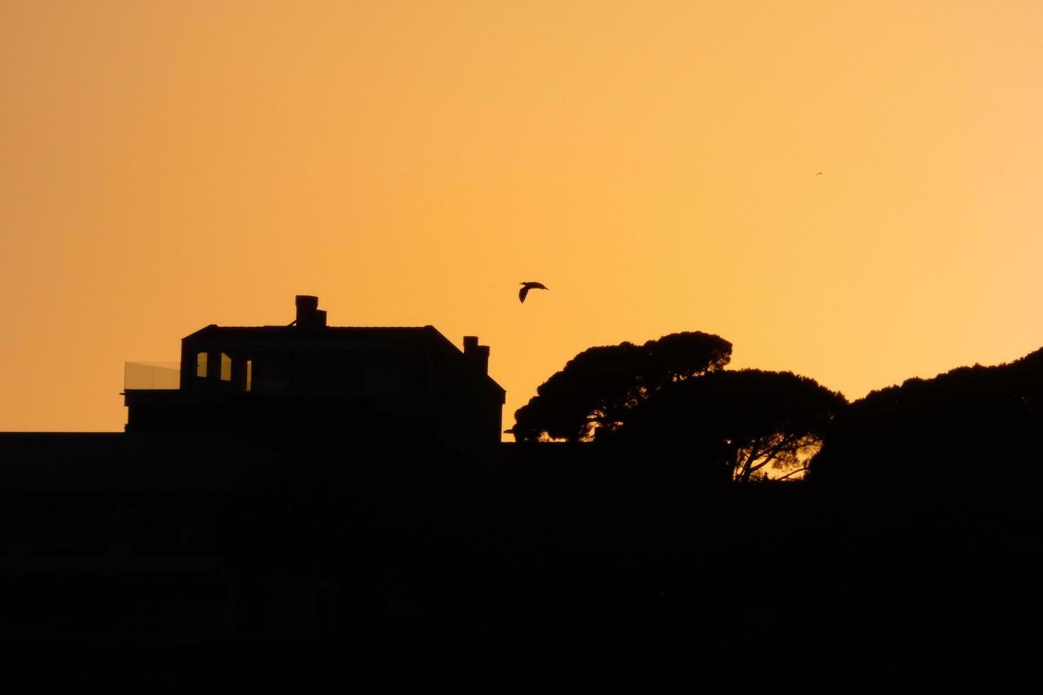 paisaje retroiluminado en una puesta de sol foto