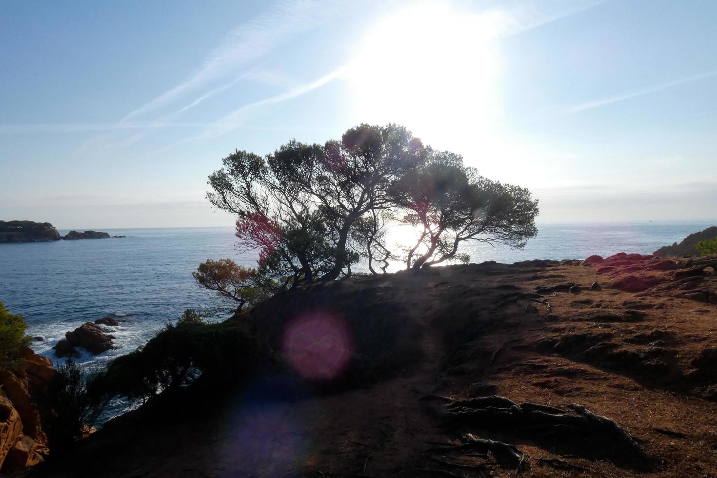 costa mediterránea con rocas en la región catalana, españa foto