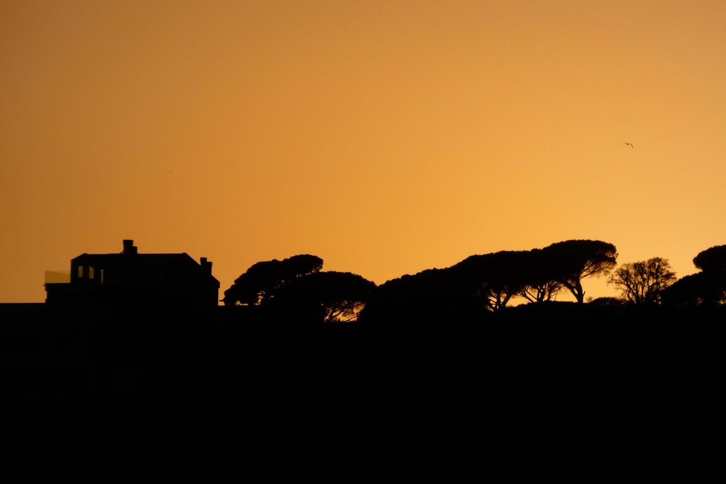 backlit landscape in a sunset photo