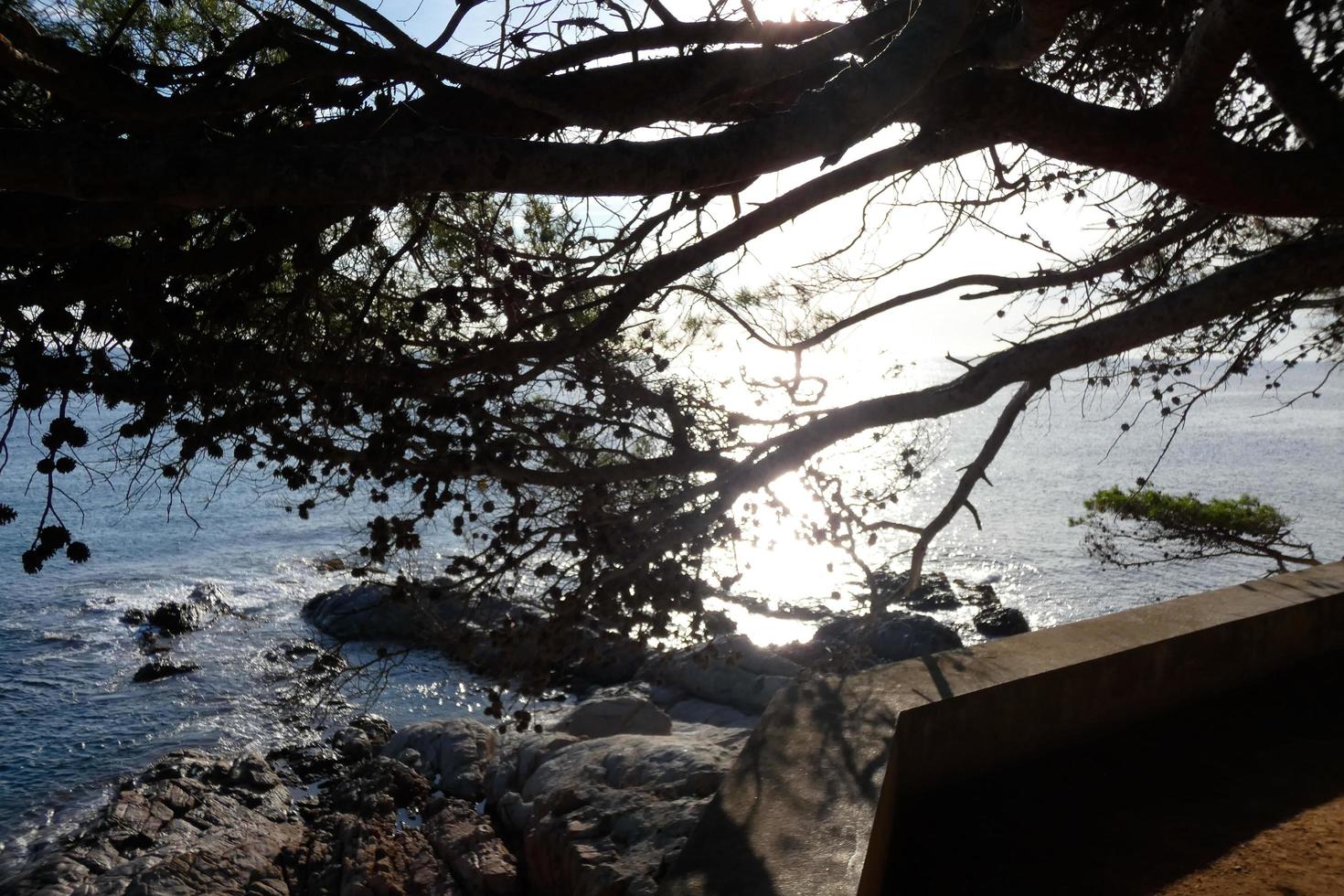 camino de ronda, un camino paralelo a la costa brava catalana, ubicado en el mar mediterráneo en el norte de cataluña, españa. foto