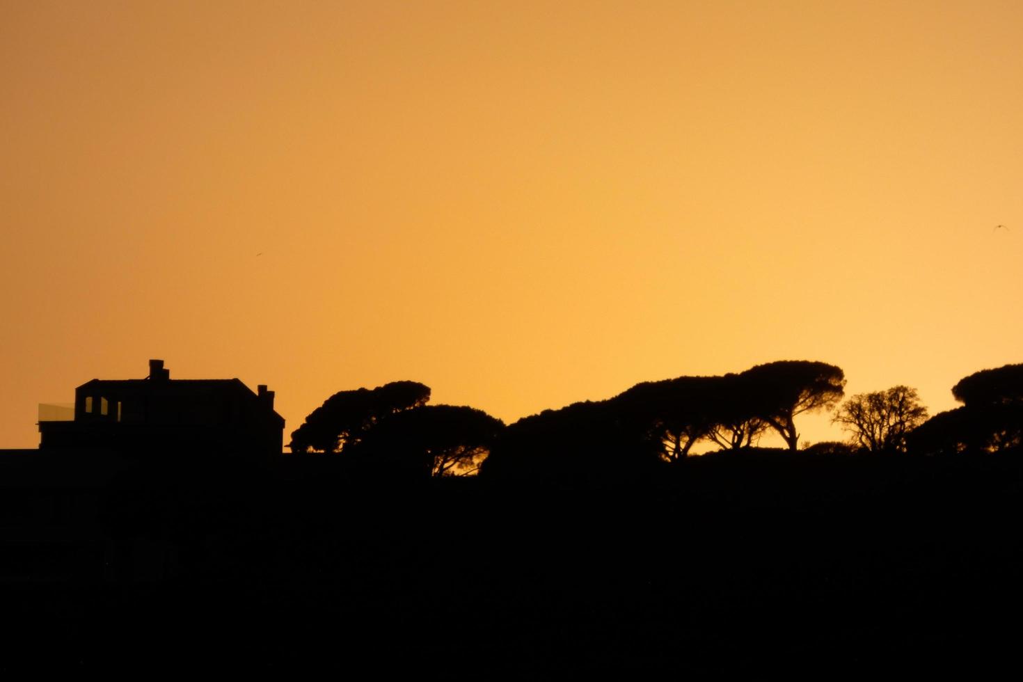 backlit landscape in a sunset photo