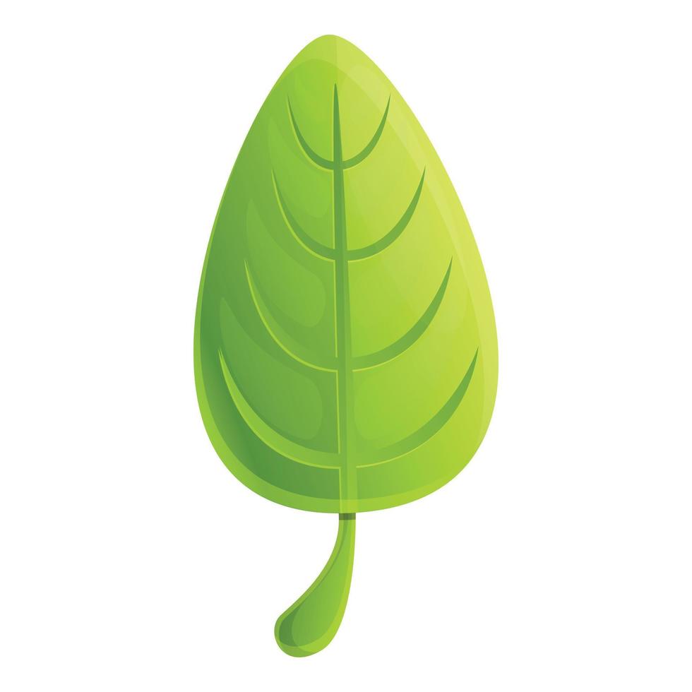 Basil healthcare icon, cartoon style vector