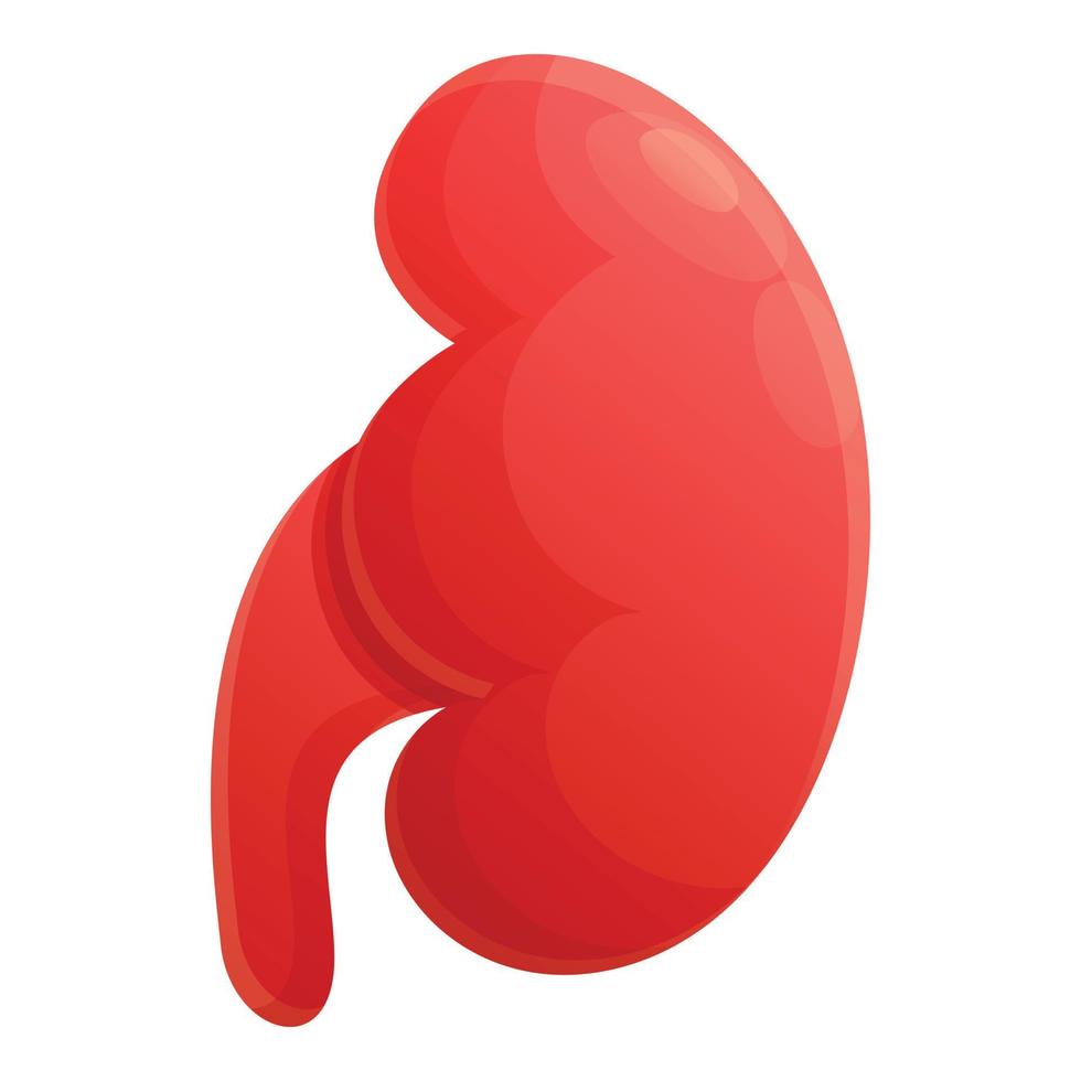 icono de riñón de sangre, estilo de dibujos animados vector