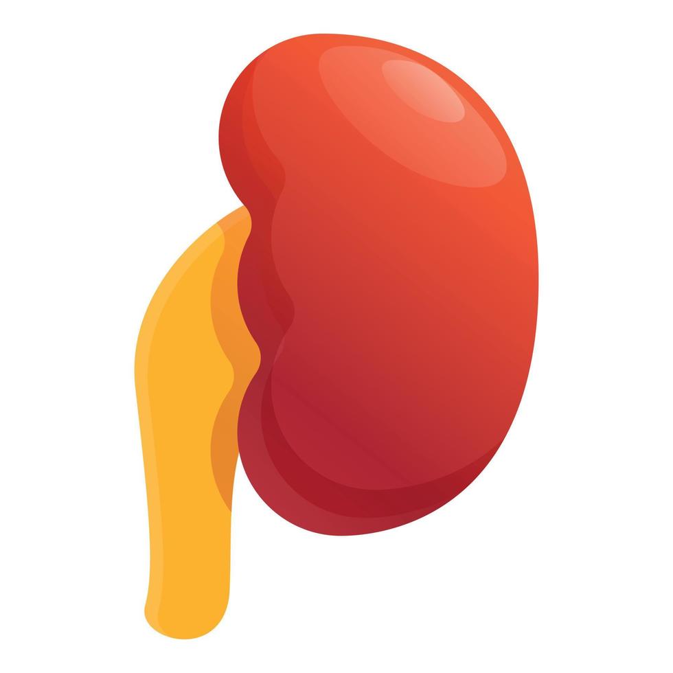 Adrenal kidney icon, cartoon style vector