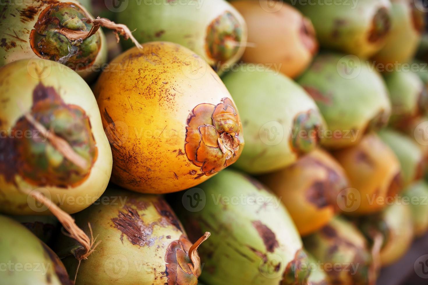 Lots of fresh green coconuts lined with a stack. Close-up market stalls photo