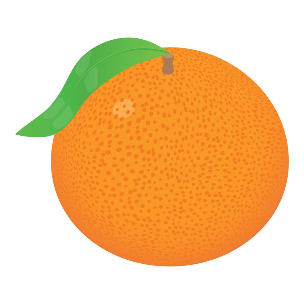 icono de pomelo entero, estilo isométrico vector