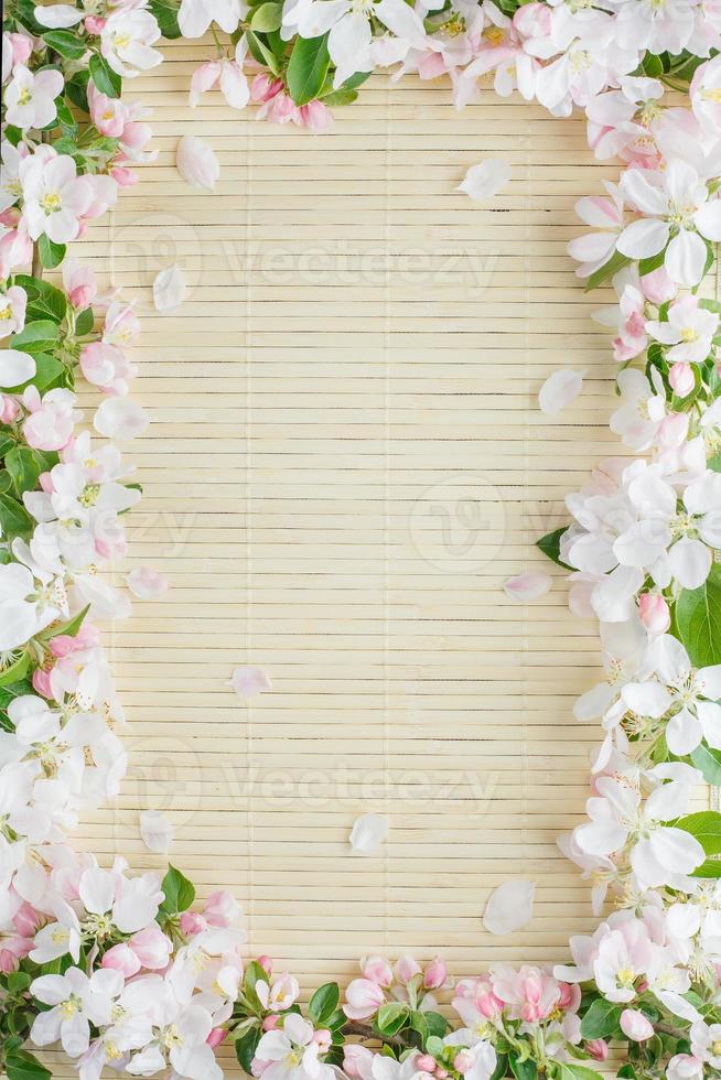 Frame of spring flowers of sakura on bamboo background. Beautiful cherry blossom sakura in springtime photo