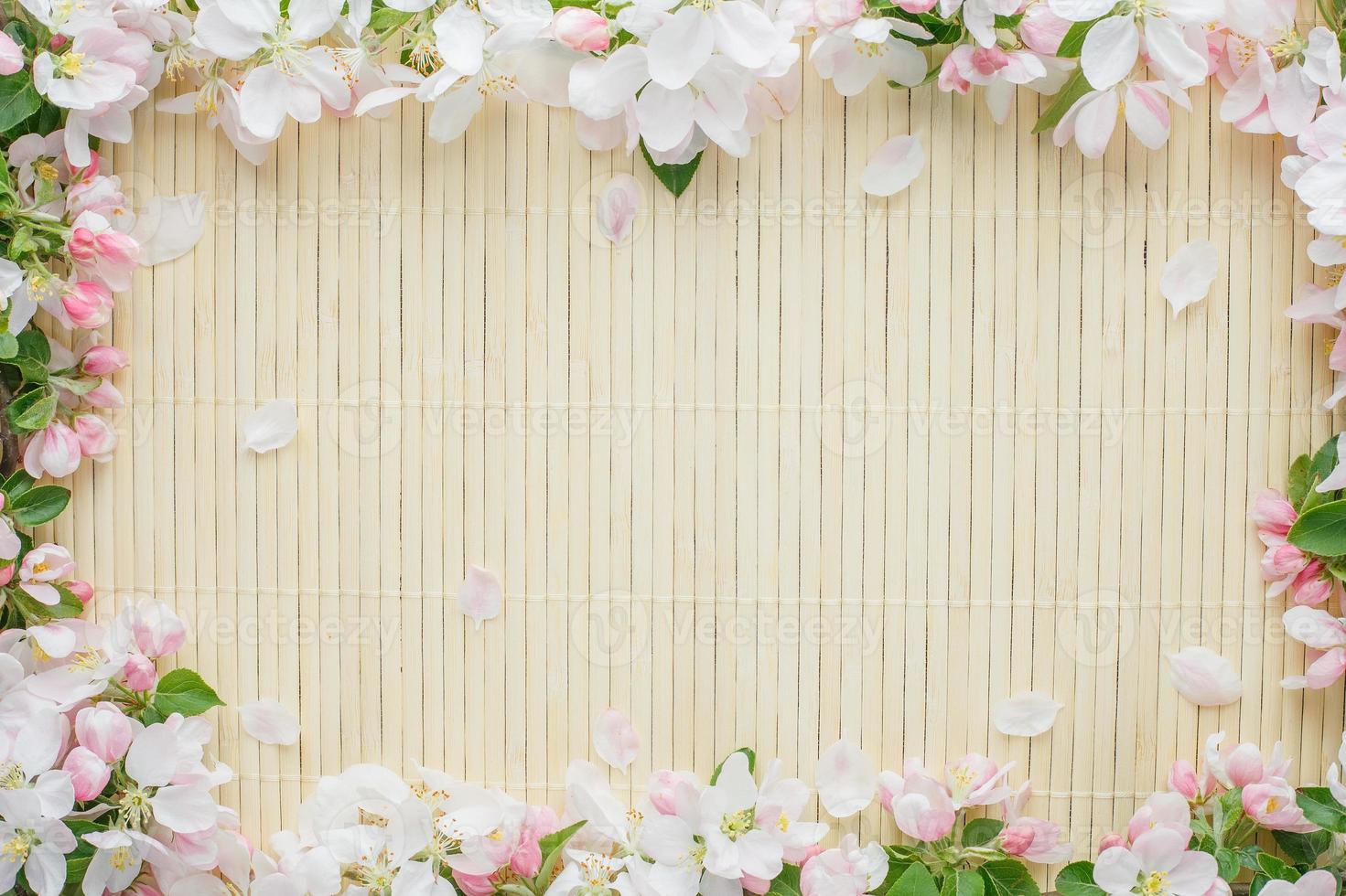 Frame of spring flowers of sakura on bamboo background. Beautiful cherry blossom sakura in springtime photo