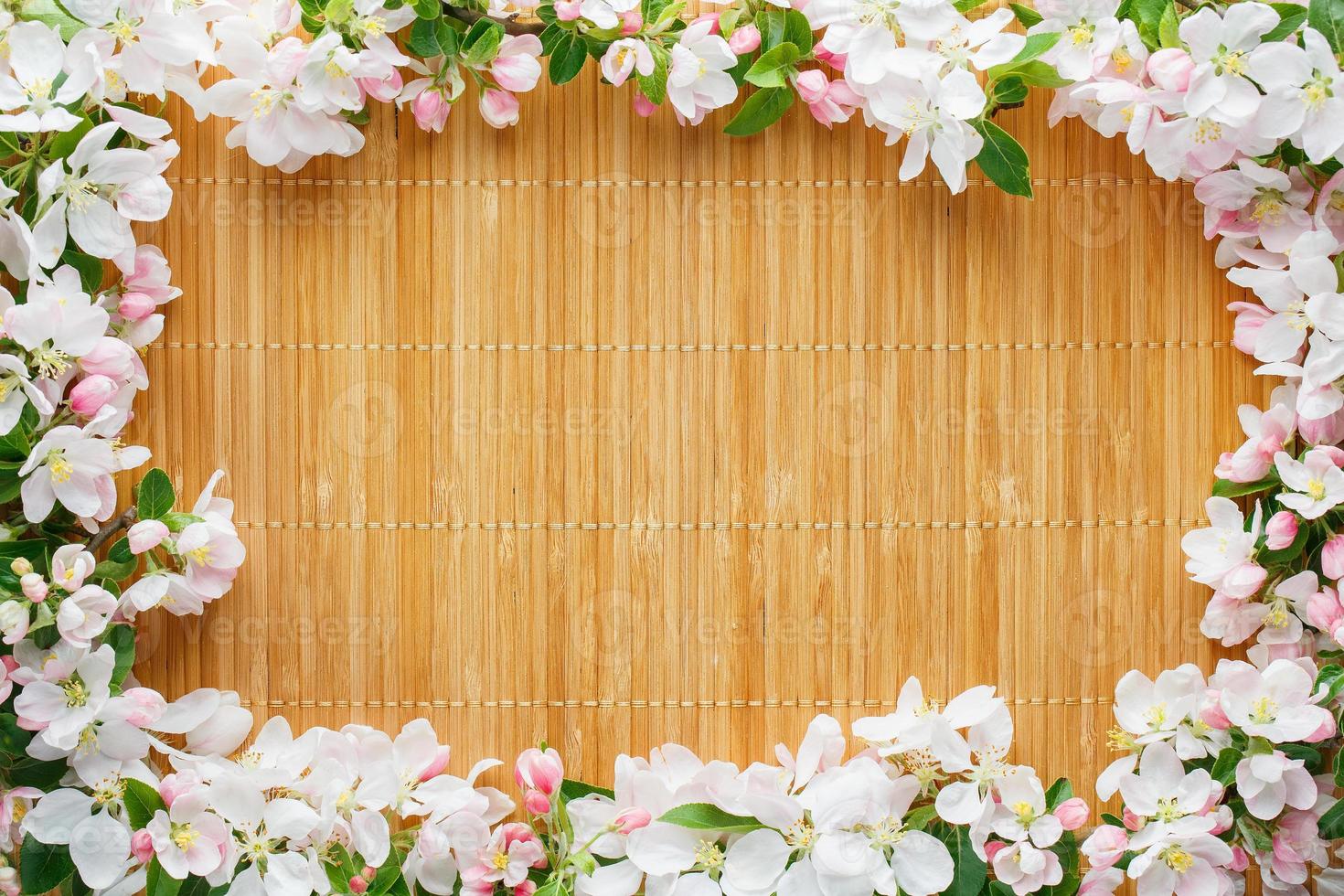 Frame of spring flowers of sakura on bamboo background. Beautiful cherry blossom sakura in springtime photo