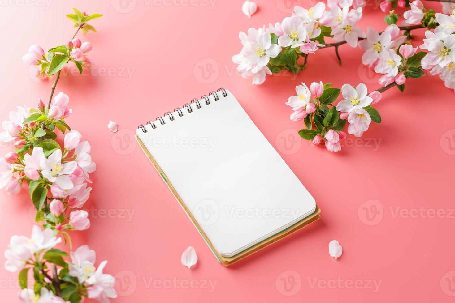 Blooming spring sakura on a pink background with notepad space for greeting message. The concept of spring and mother's day. Beautiful delicate pink cherry flowers in springtime photo