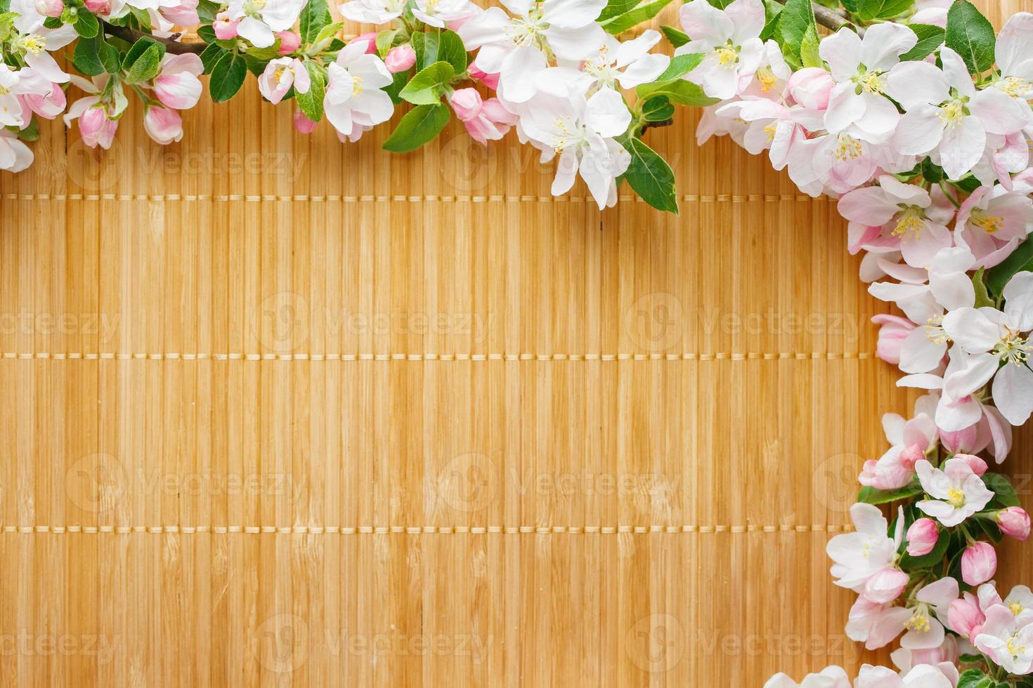 Frame of spring flowers of sakura on bamboo background. Beautiful cherry blossom sakura in springtime photo