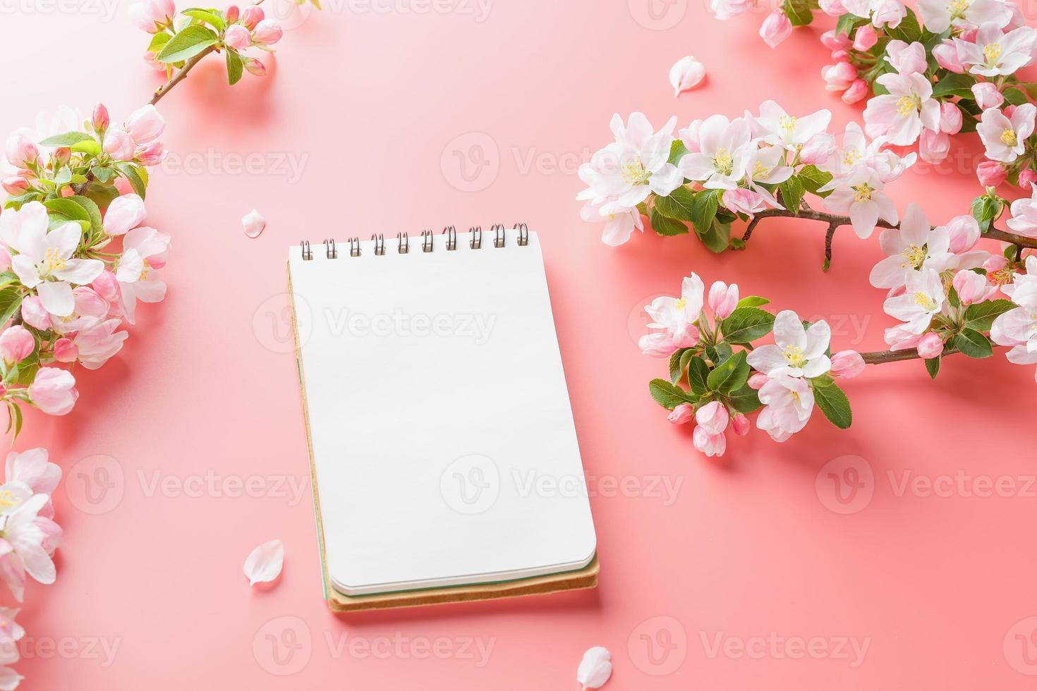 sakura de primavera floreciente sobre un fondo rosa con espacio de bloc de notas para el mensaje de saludo. el concepto de primavera y día de la madre. hermosas y delicadas flores de cerezo rosa en primavera foto