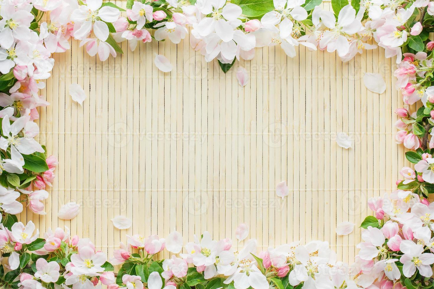 Frame of spring flowers of sakura on bamboo background. Beautiful cherry blossom sakura in springtime photo