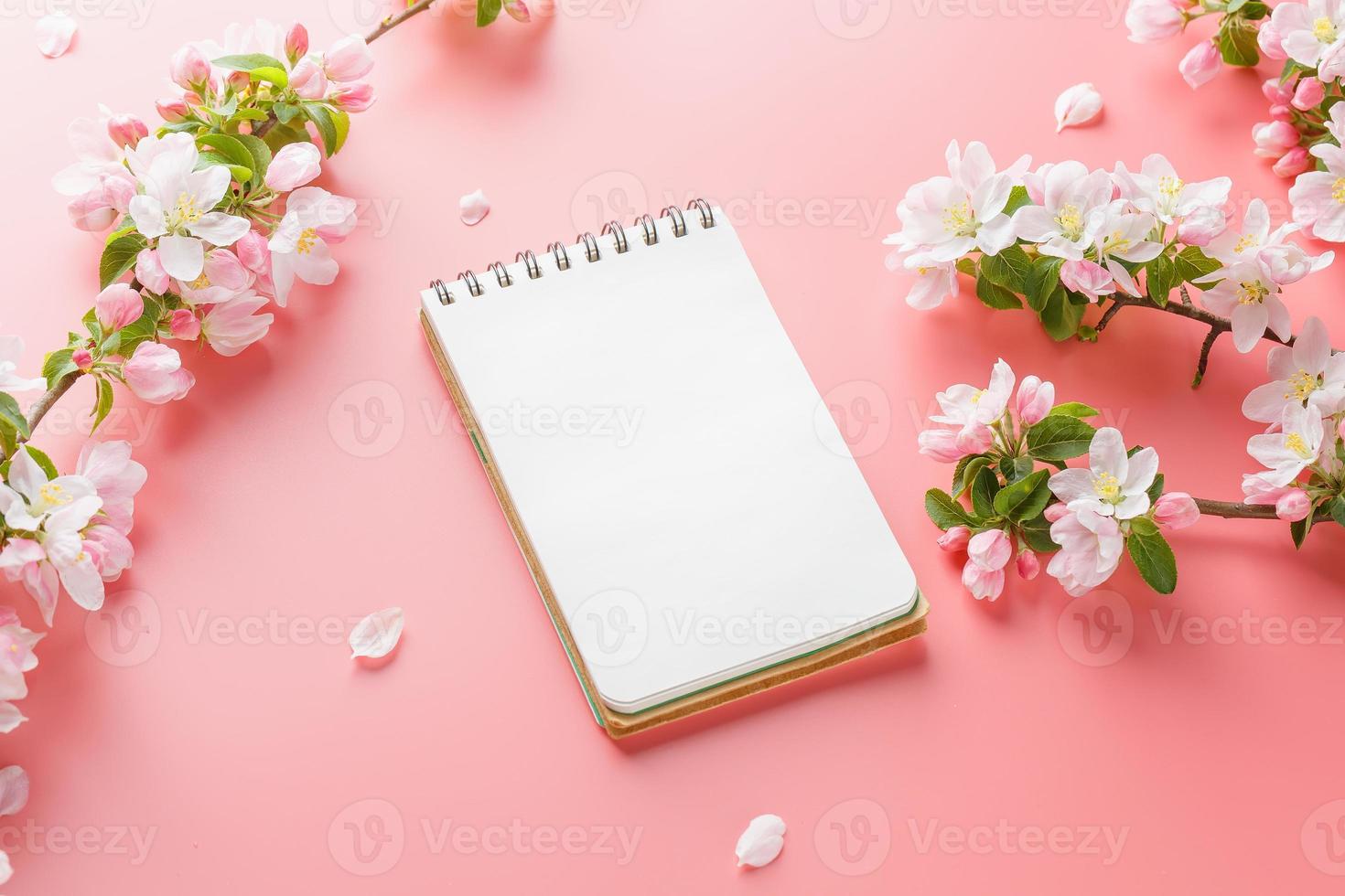 sakura de primavera floreciente sobre un fondo rosa con espacio de bloc de notas para el mensaje de saludo. el concepto de primavera y día de la madre. hermosas y delicadas flores de cerezo rosa en primavera foto