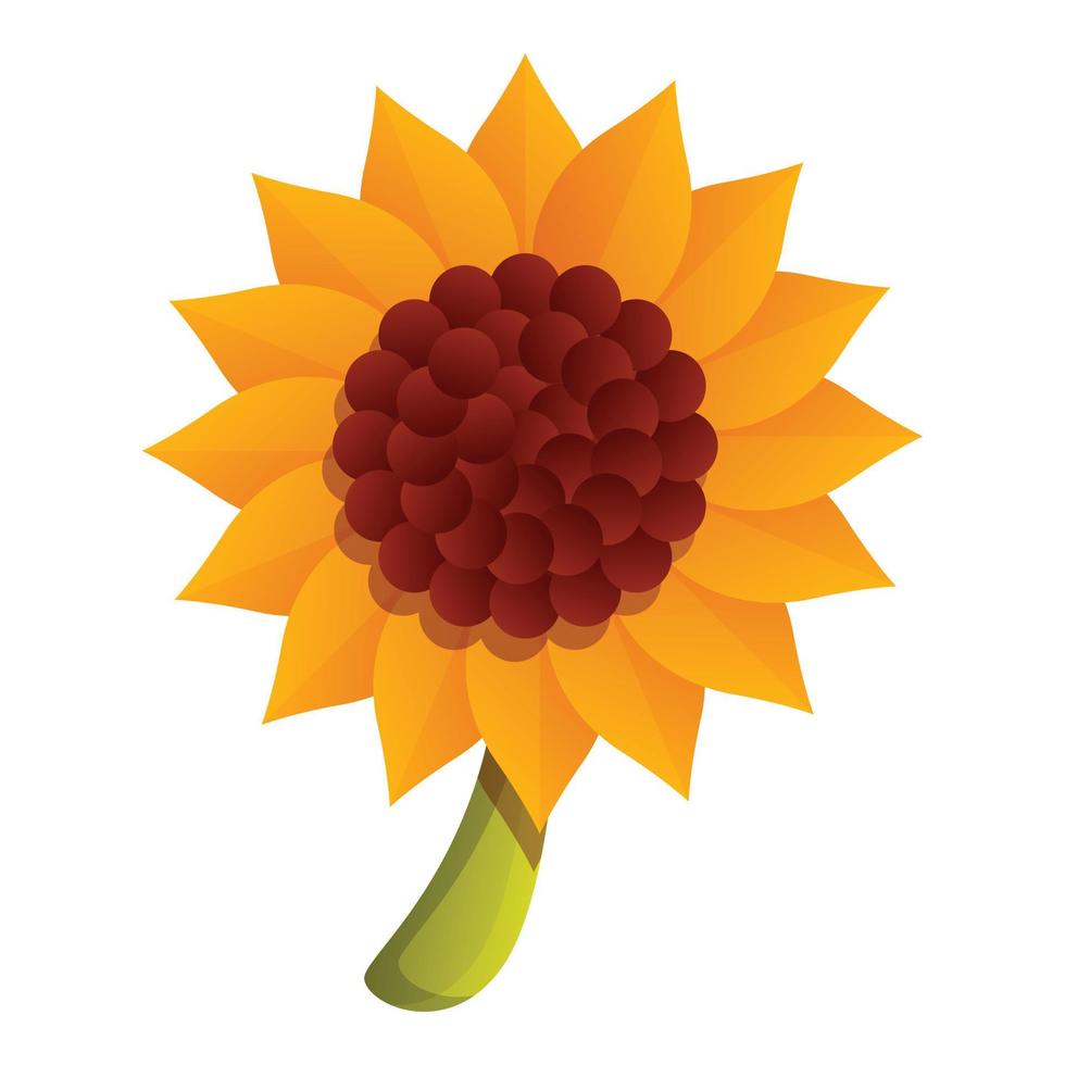 Autumn sunflower icon, cartoon style vector