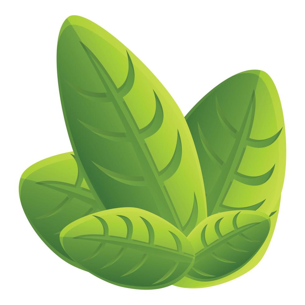 Basil nature icon, cartoon style vector