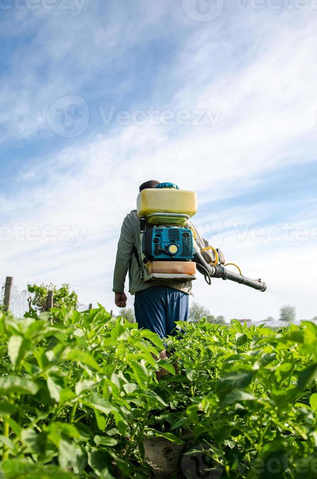 Farmer with a mist sprayer walks through farm field. Protection of cultivated plants from insects and fungal infections. Use of chemicals for crop protection in agriculture. Farming growing vegetables photo