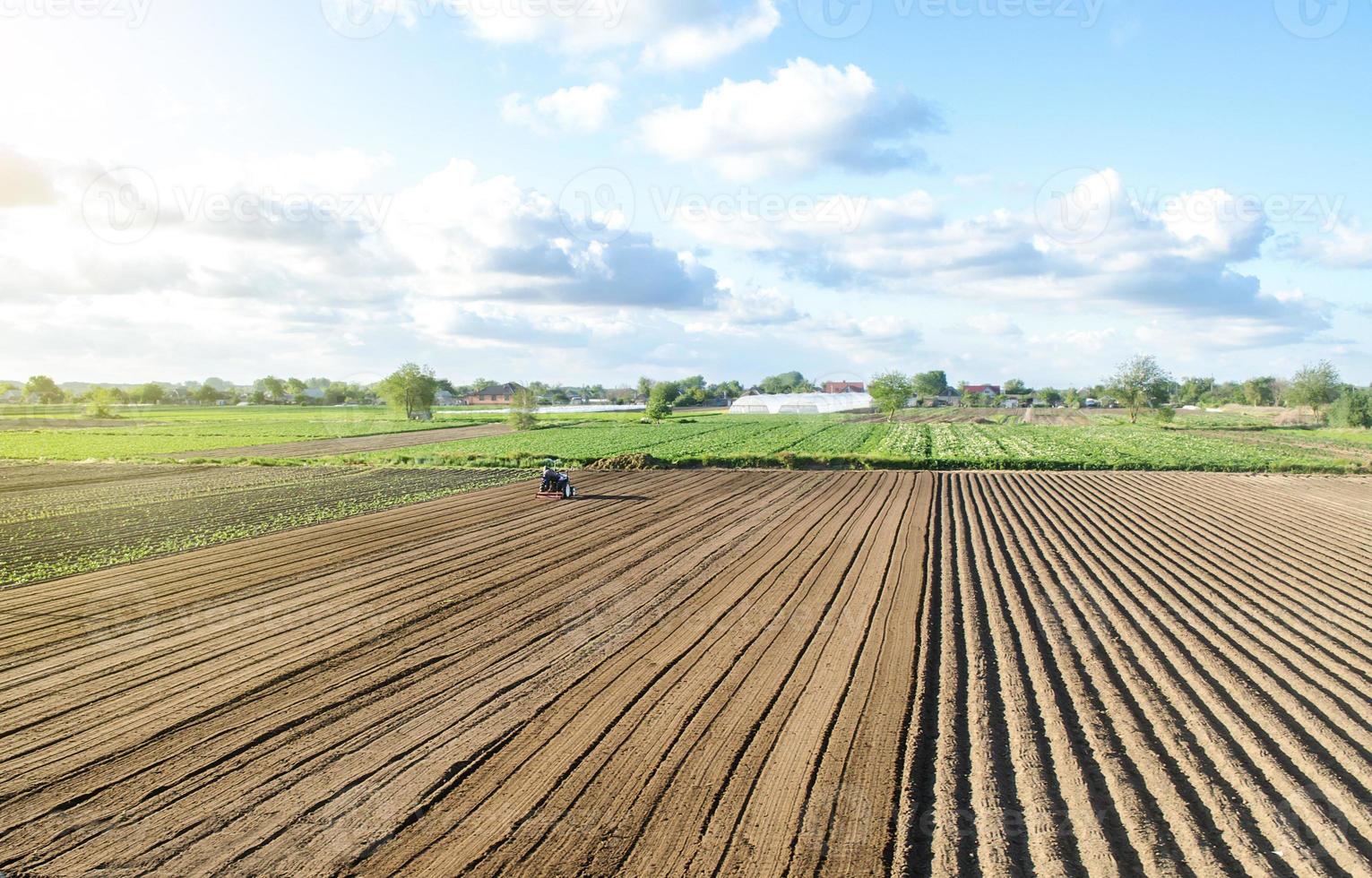 Farmer on a tractor drives on a farm field. Agriculture and agribusiness. Growing vegetables. Land market, lease of plots for sowing. Agricultural land. Revival of rural settlements, farms subsidies photo