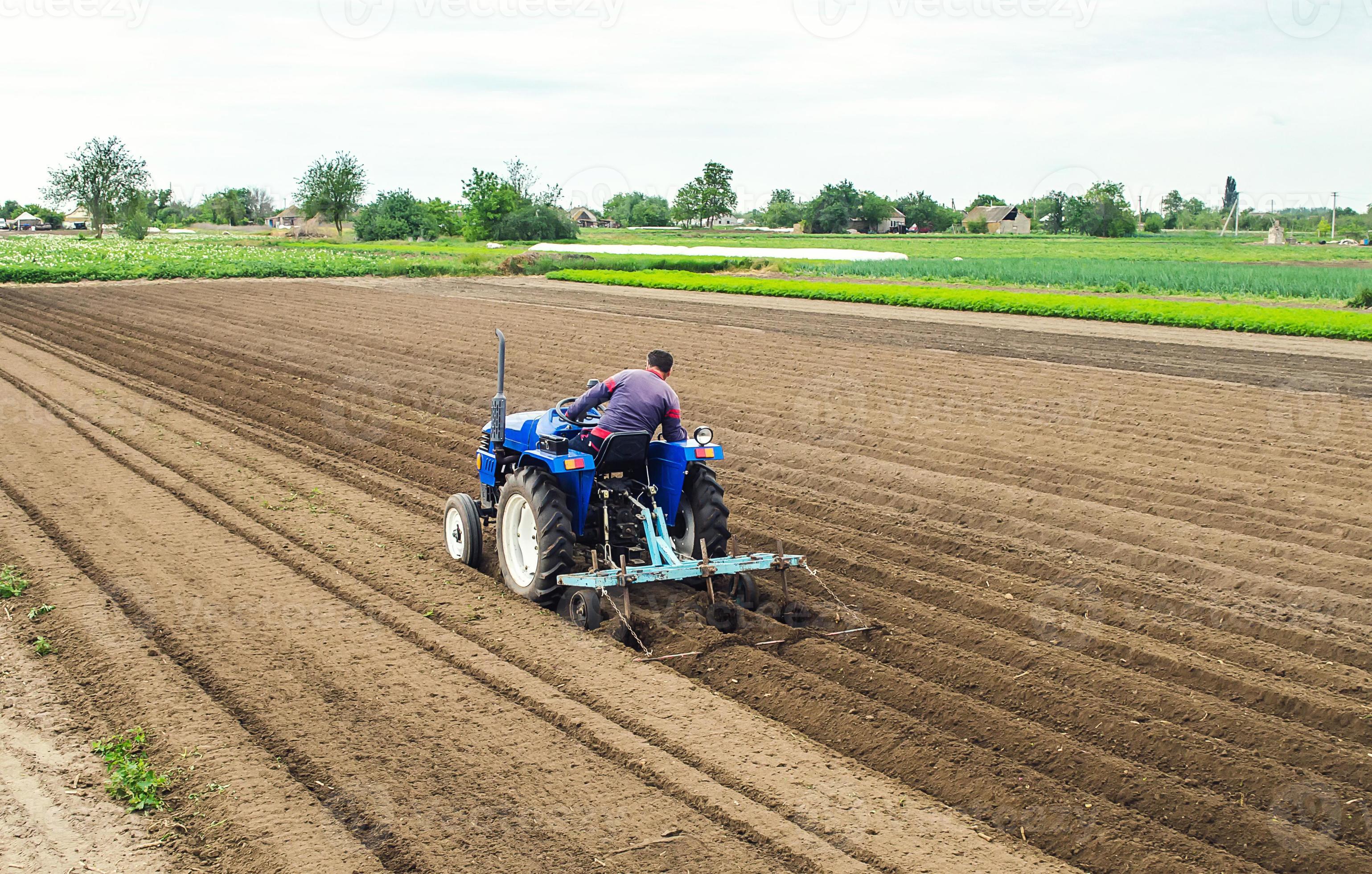 A farmer on a tractor plows the field for further sowing of the crop