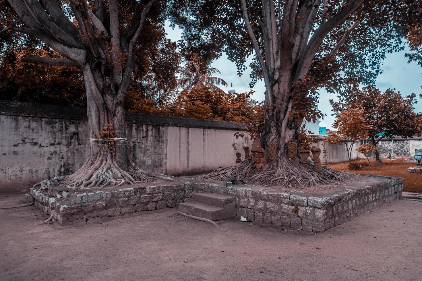 Thiru Parameswara Vinnagaram or Vaikunta Perumal Temple is a temple dedicated to Vishnu, located in Kanchipuram in the South Indian state of Tamil Nadu - One of the best archeological sites in India photo