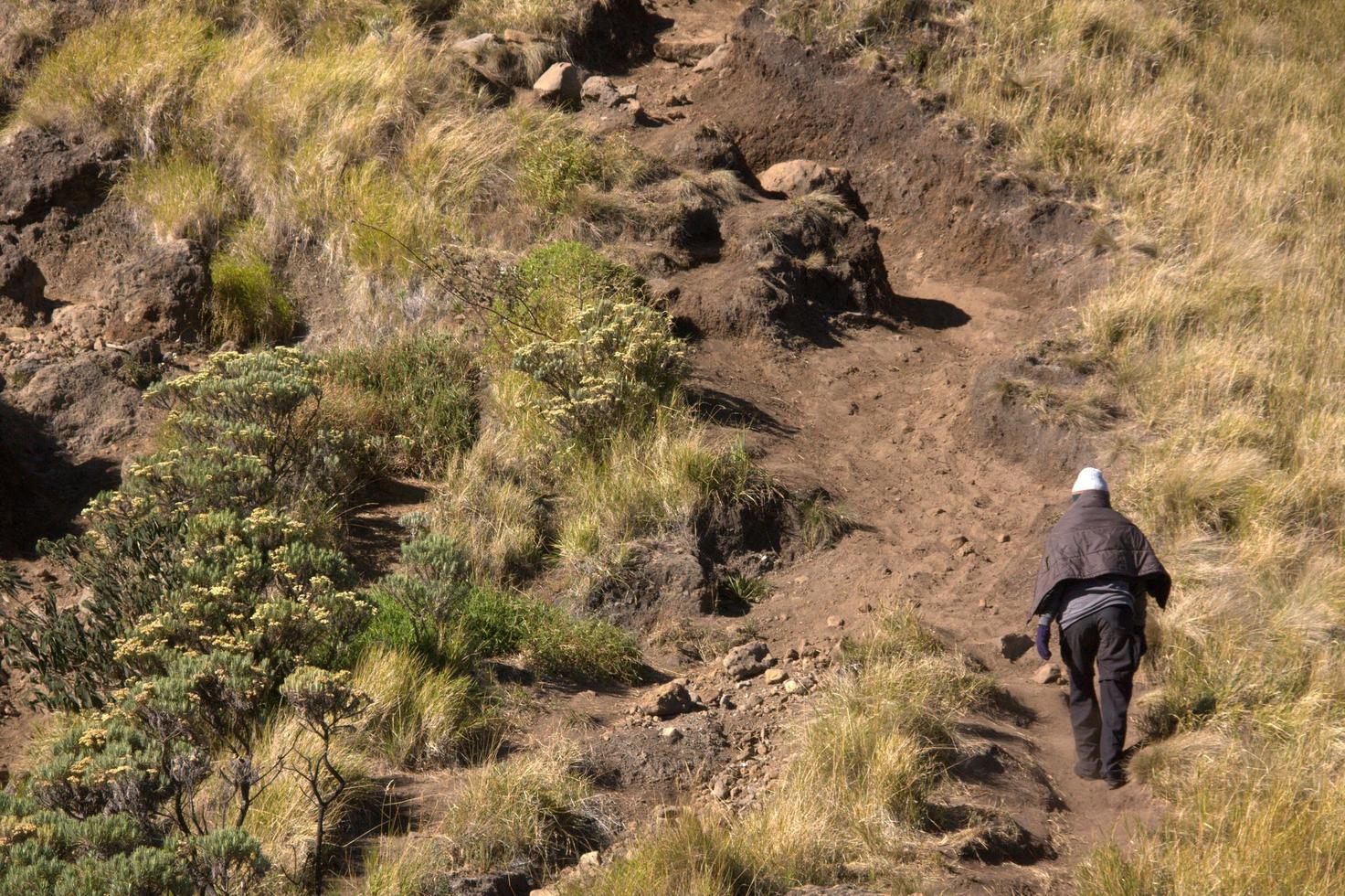 East Java, Indonesia, 2022 - Merbabu mountain hiking trail. Magelang, Central Java, Indonesia. photo