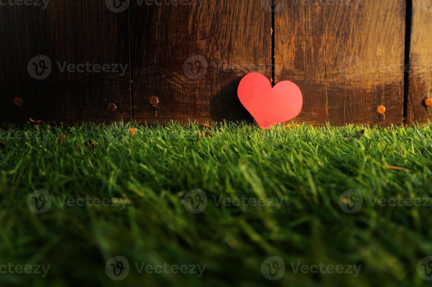 Paper Heart shape on green grass photo