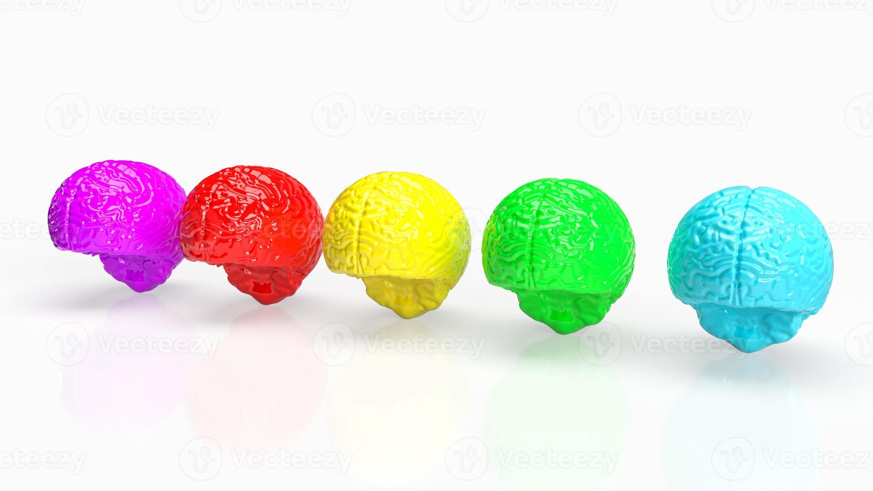The brain multi color  on white  background  for creative concept 3d rendering photo