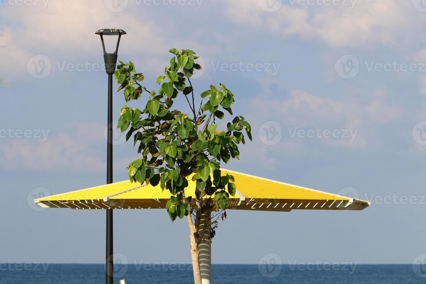 Canopy in the city park to protect from the scorching sun. photo