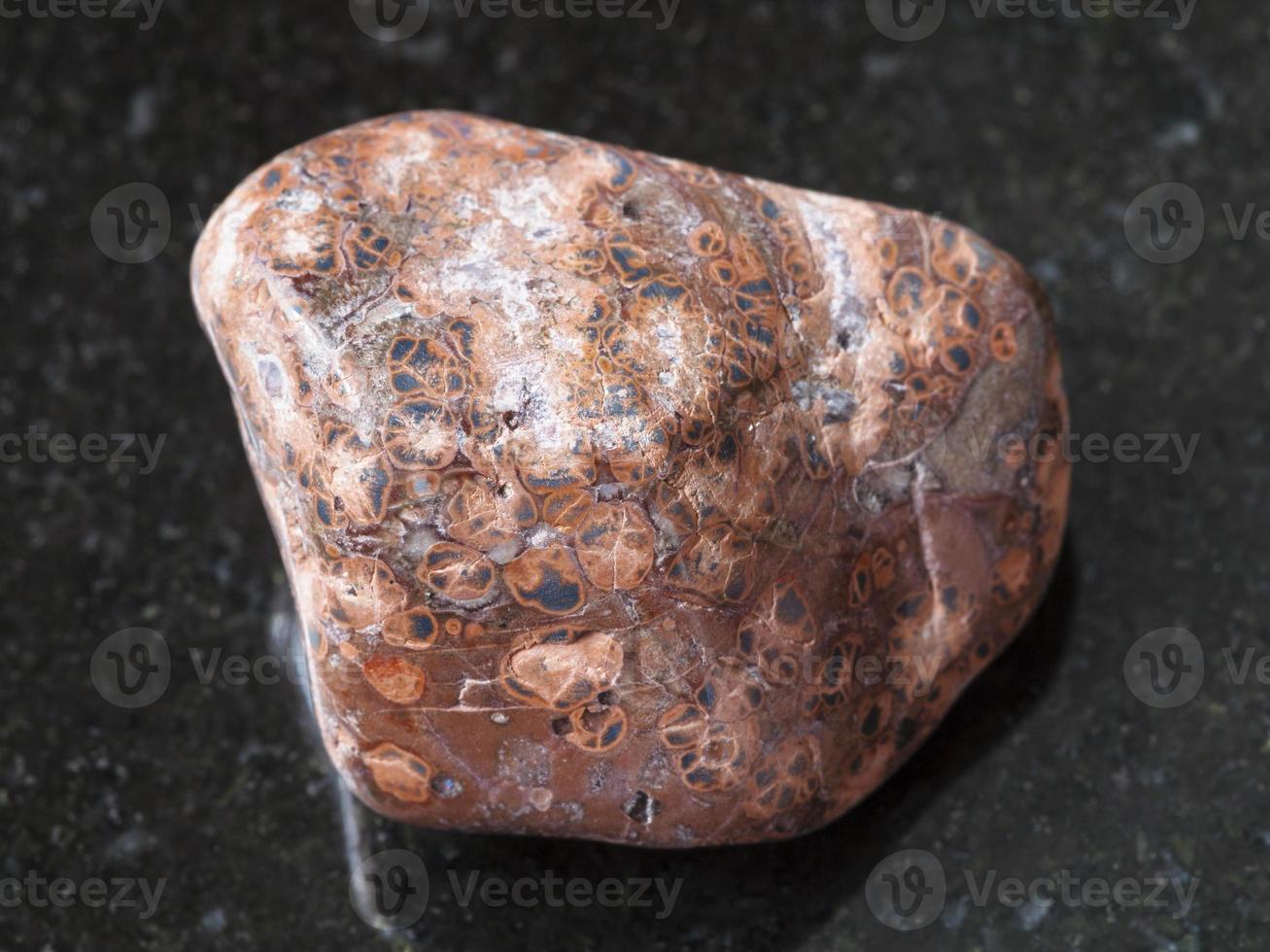 piedra preciosa de jaspe de piel de leopardo pulida en la oscuridad foto