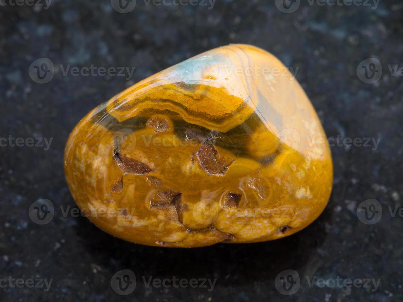 polished Leopard Skin Jasper gemstone on dark photo