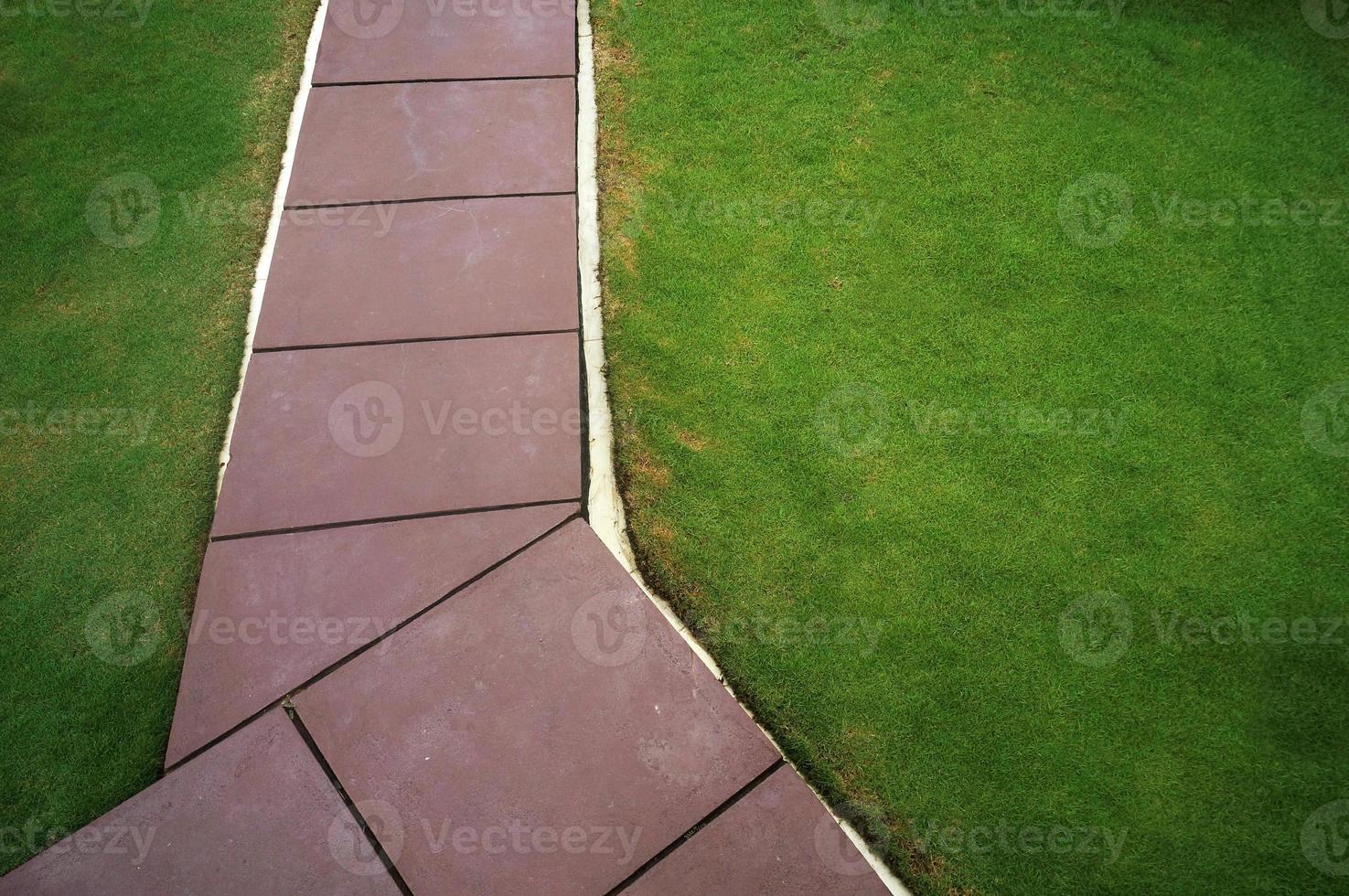 Concrete walk pathway and green grass in the garden top view photo