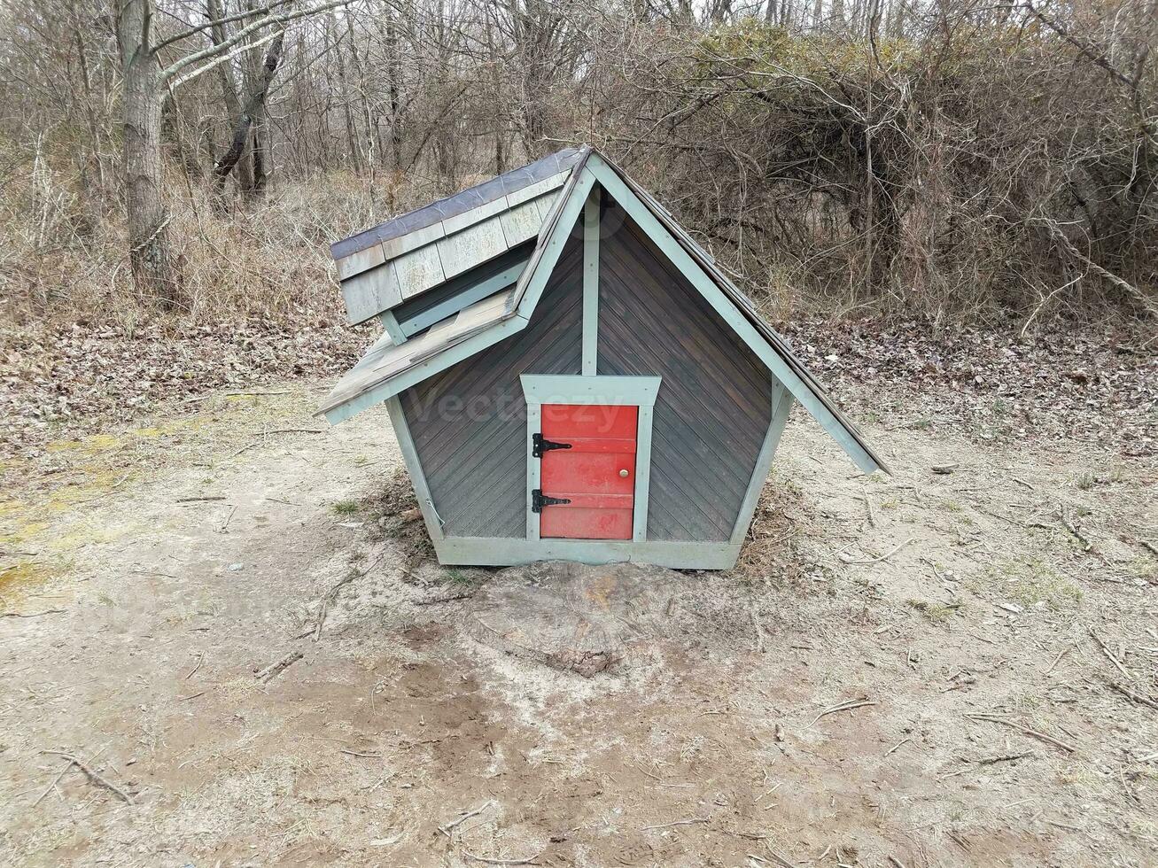 extremely tiny house or home with small red door photo