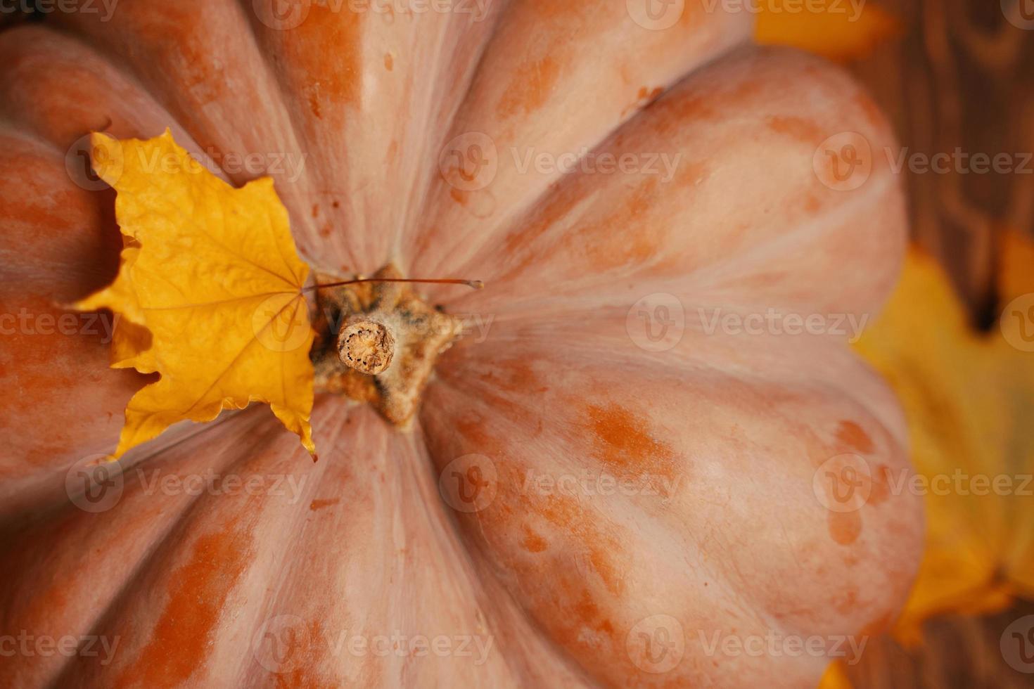 Pumpkin with yellow autumn leaves fallen from the trees. photo