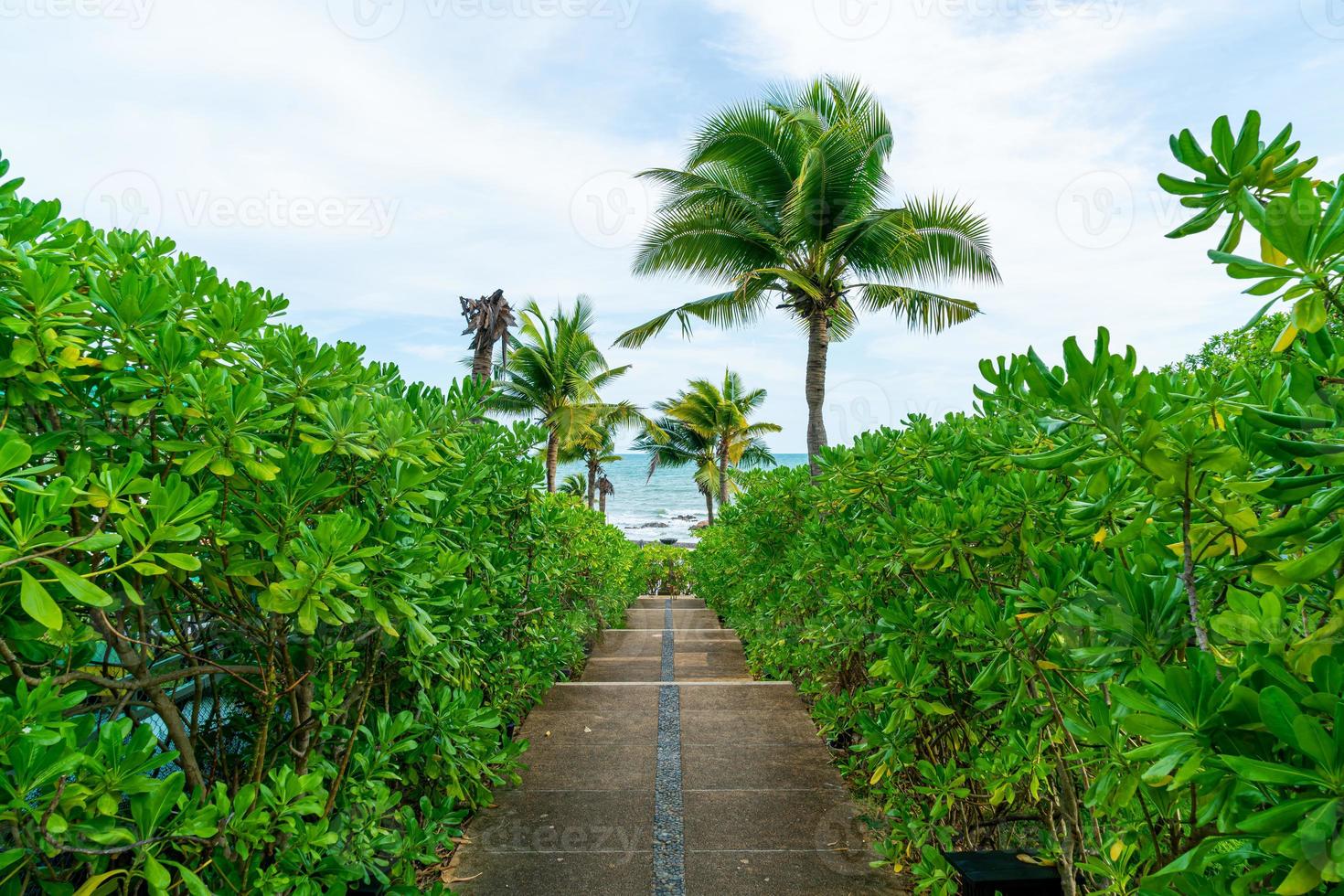 camino a pie con palmeras de coco y fondo marino foto